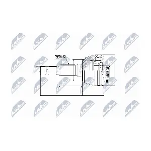 NTY NPZ-PL-013