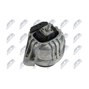 ZPS-BM-009 NTY