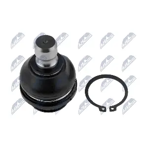 ZST-NS-004 NTY