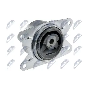 ZPS-PL-009 NTY