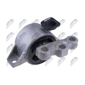 ZPS-FT-008 NTY