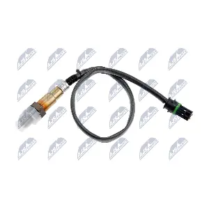 ESL-BM-011 NTY