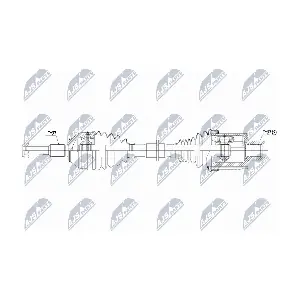 NTY NPW-FR-221