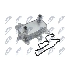 CCL-FT-010 NTY