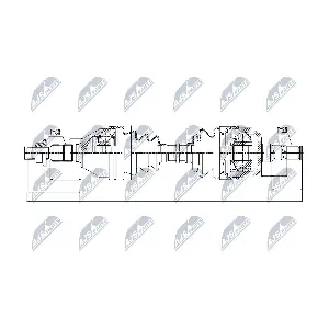NPW-PL-031 NTY