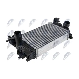 CNG-PL-009 NTY