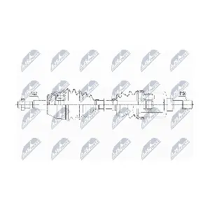 NPW-FR-151 NTY