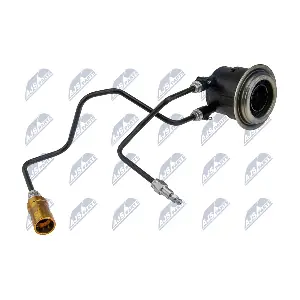 NTY NWS-LR-003
