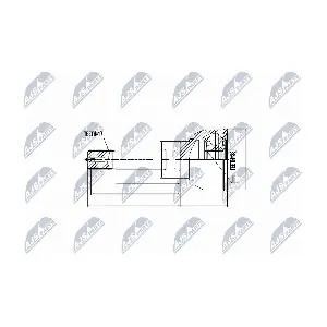 NPZ-IS-007 NTY