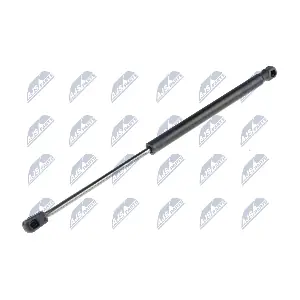 AE-SK-008 NTY