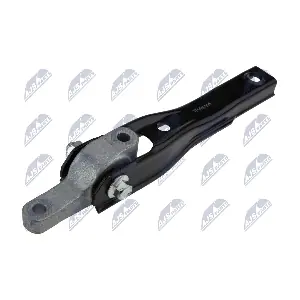 ZPS-VW-095 NTY