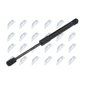 AE-SK-018 NTY