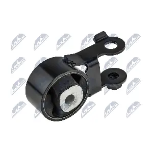 ZPS-TY-161 NTY