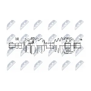 NPW-PL-083 NTY
