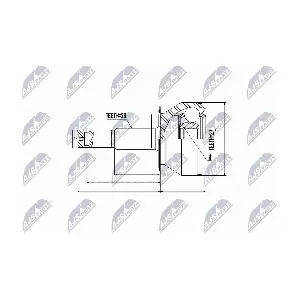 NPZ-NS-081 NTY