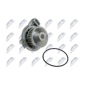 NTY CPW-VW-023