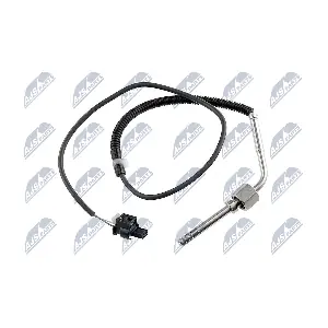 EGT-ME-019 NTY