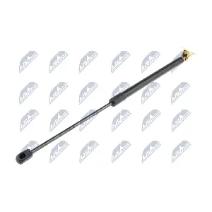 AE-PL-061 NTY