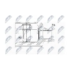 NTY NPW-PL-062