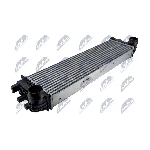 CCL-ME-064 NTY