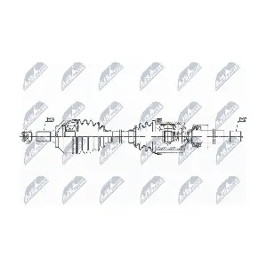 NPW-CT-099 NTY
