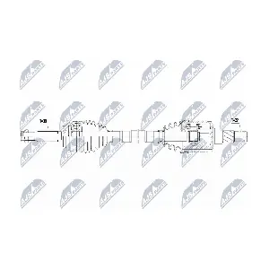 NPW-CH-078 NTY