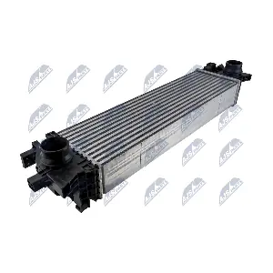 CCL-VV-021 NTY