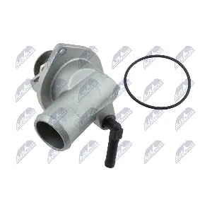 NTY CTM-PL-031