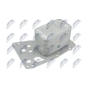CCL-BM-038 NTY