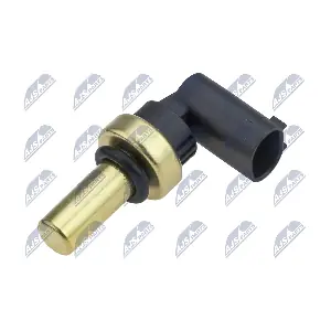 ECT-PL-010 NTY