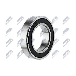 NLP-PL-001 NTY