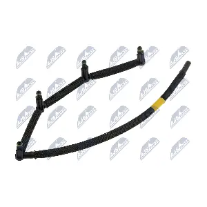 BPP-FR-008 NTY