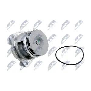 CPW-CH-029 NTY