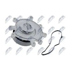 NTY CPW-CH-004