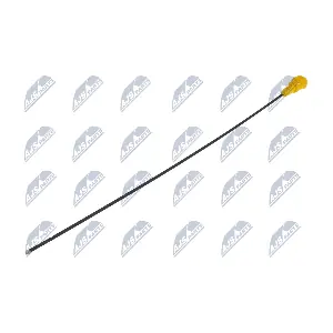 BOL-PE-003 NTY
