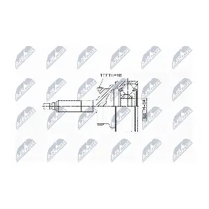 NTY NPZ-DW-031