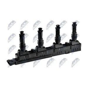 ECZ-PL-008 NTY