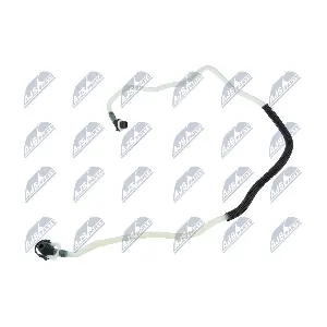 BPP-ME-013 NTY