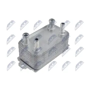 CCL-VV-011 NTY