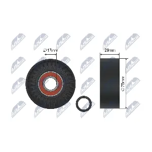RNK-VW-019 NTY
