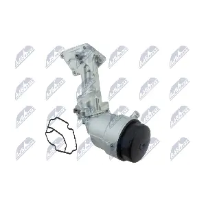 CCL-ME-063 NTY