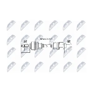 NTY NPW-CT-012