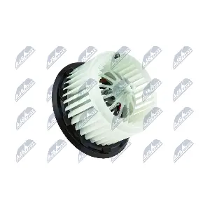NTY EWN-VW-010