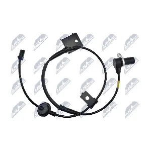 HCA-HY-516 NTY
