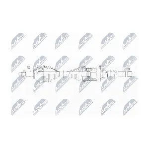 NPW-AR-022 NTY