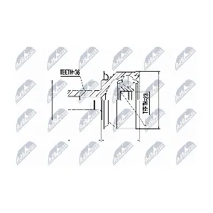 NTY NPZ-FR-031