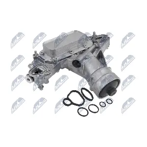NTY CCL-PL-034