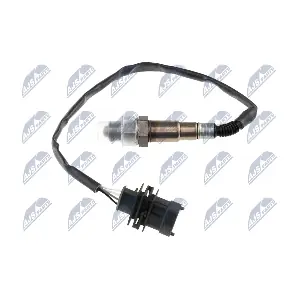 NTY ESL-DW-004