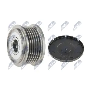 NTY ESA-CT-003