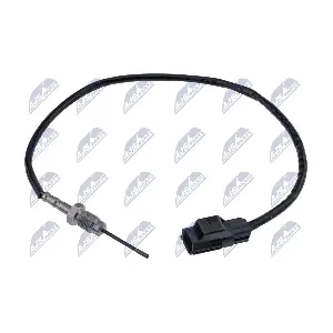 EGT-FR-019 NTY